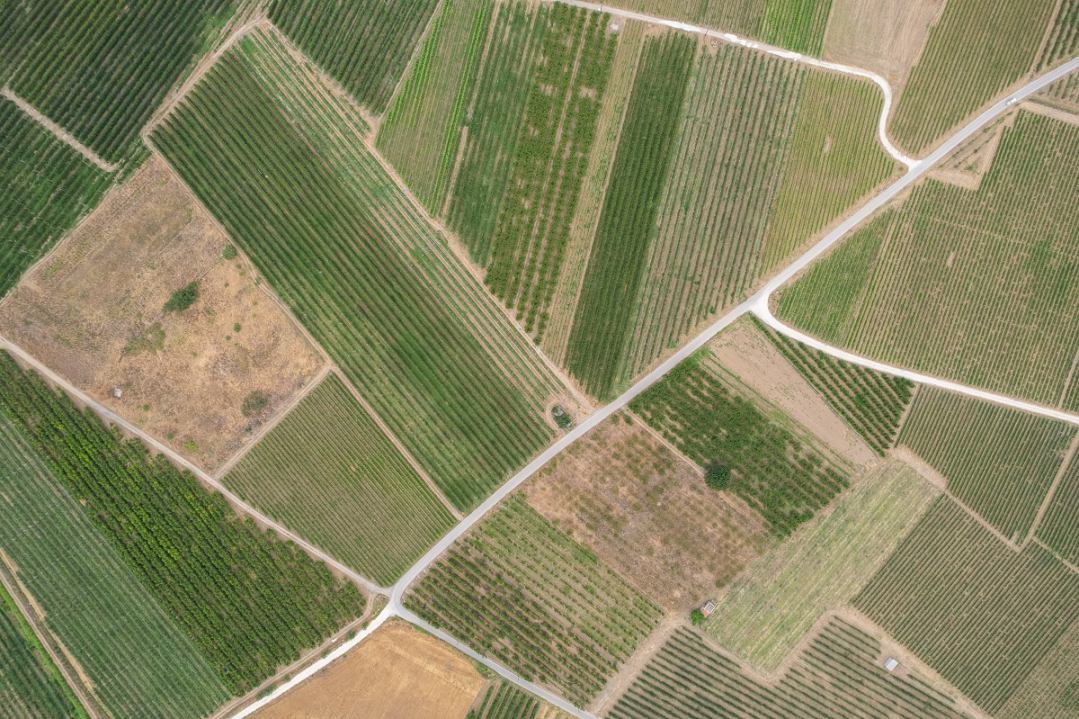 Κ. Γκούμας: Η Θεσσαλία