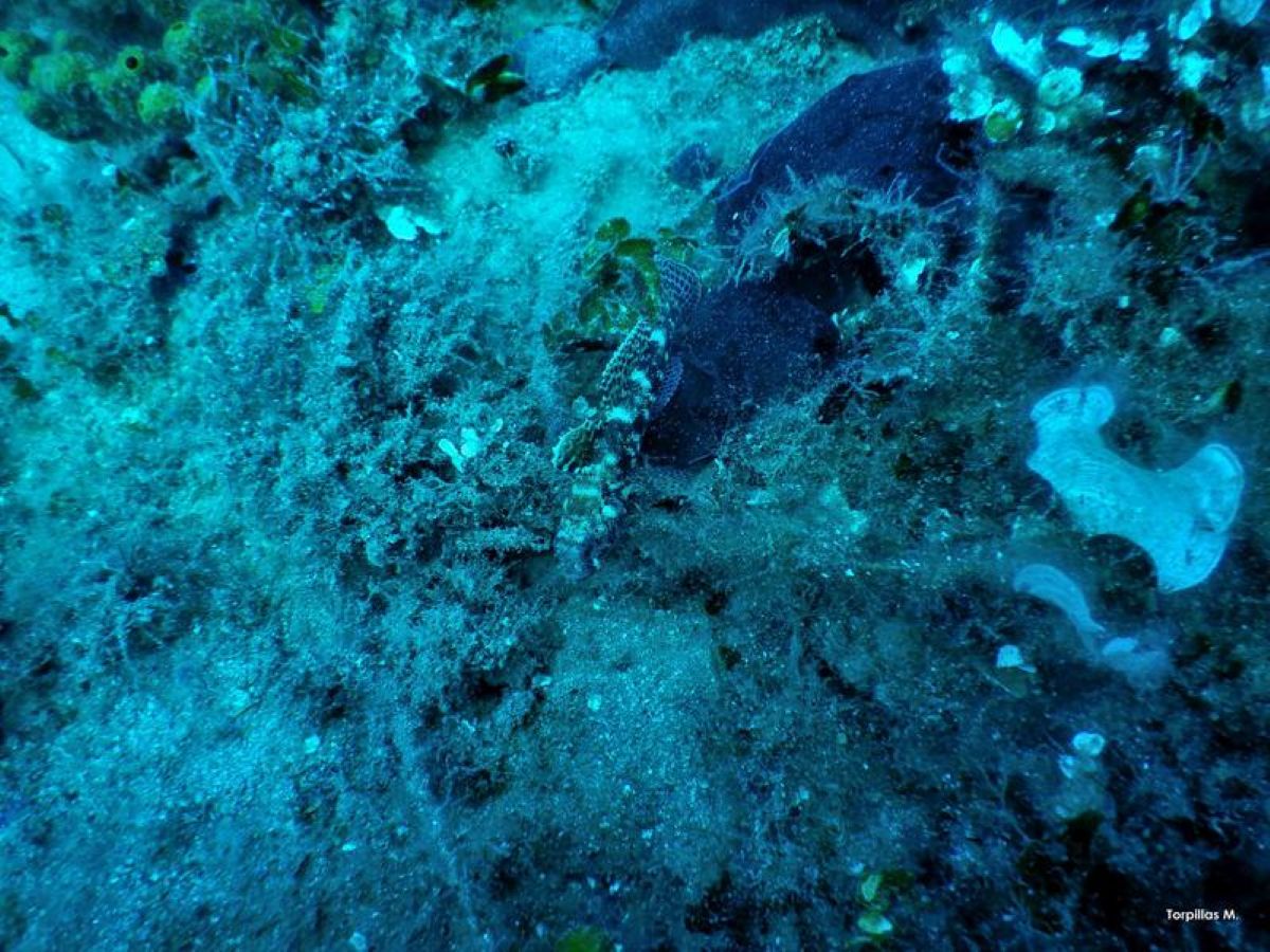 Πρωτοποριακό μοντέλο