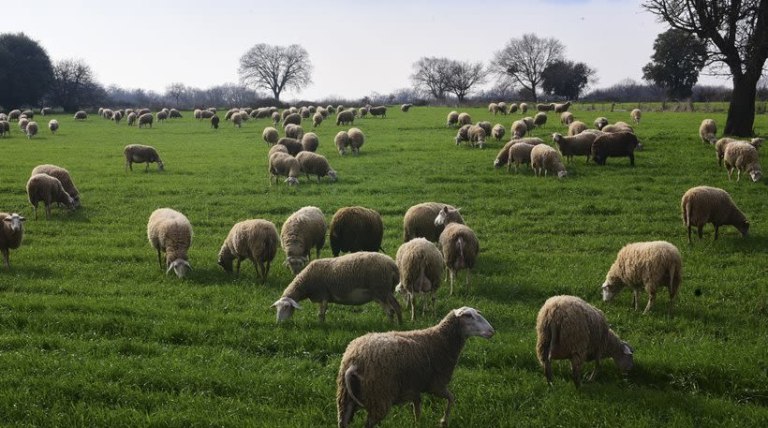 ΠΑΣΟΚ: Το σκάνδαλο του