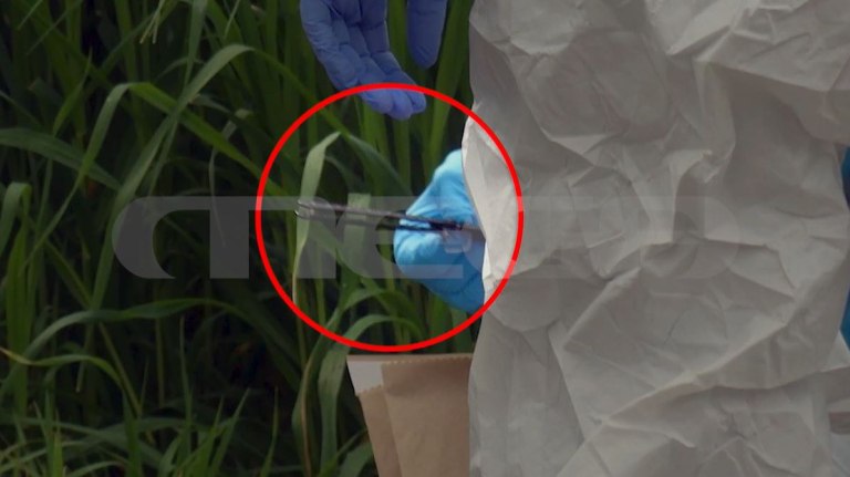 Καρδίτσα: Αυτό είναι το