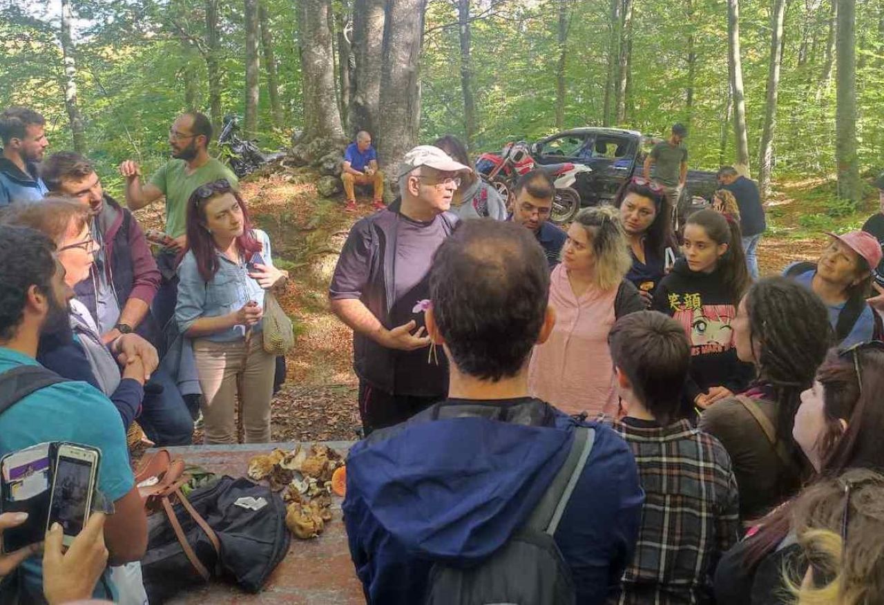 Γιορτή Μανιταριού και