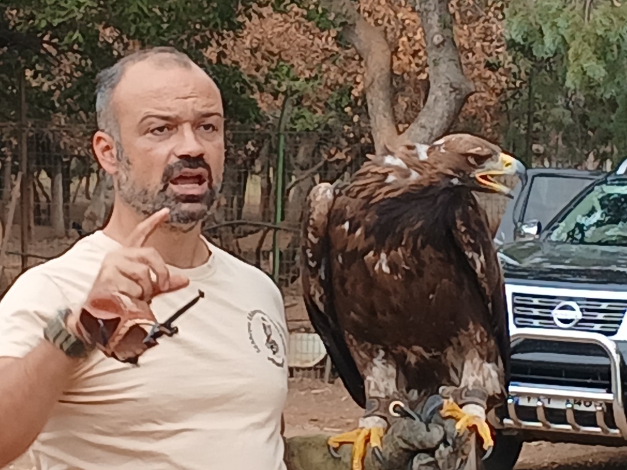 Αλμυρός: Παρουσίαση