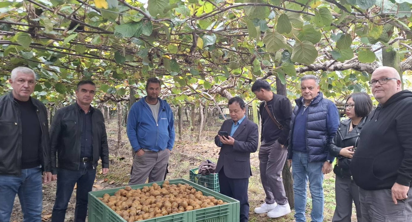 Στελέχη της