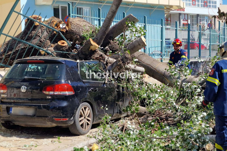 Έπεσαν δέντρα στη Θεσσαλονίκη από τους ισχυρούς ανέμους  Τραυματίστηκαν ελαφρά δύο παιδιά, καταπλακώθηκε ΙΧ