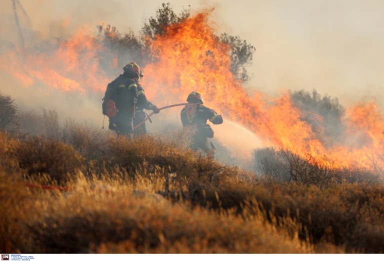 ΕΕ: Νέα στρατηγική για την αντιμετώπιση των δασικών πυρκαγιών  Επιπλέον αεροσκάφη και προληπτική τοποθέτηση πυροσβεστών