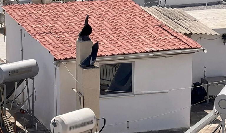 Περιστέρι: Σοκάρουν οι μαρτυρίες για τα 6 παιδιά που ζούσαν σε διαμέρισμα τρώγλη – «Ήταν ανατριχιαστική κατάσταση»