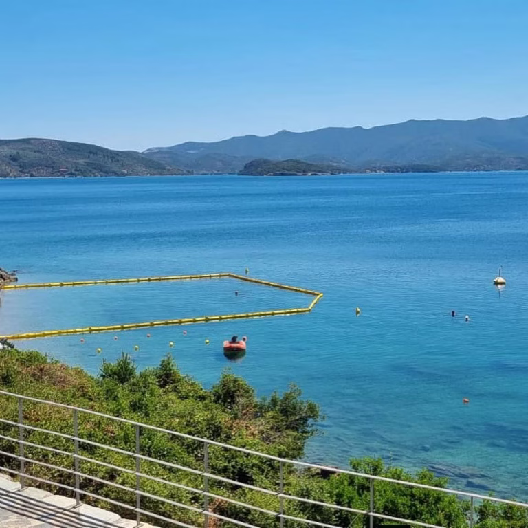 Σε αυτές τις παραλίες μπαίνουν τα δίχτυα για τις μωβ μέδουσες- Πότε τοποθετούνται- Που υπάρχει έξαρση μεδουσών