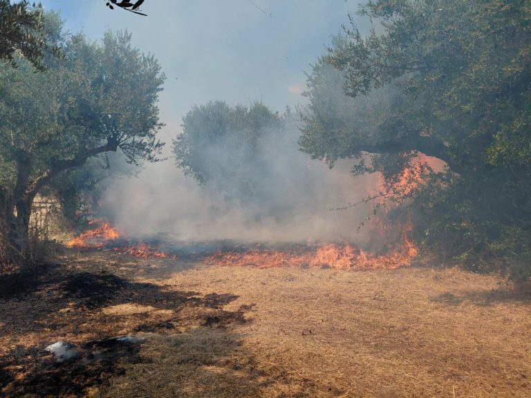 Φωτιά στη Βρία Κατερίνης – Επιχειρούν τρία εναέρια μέσα