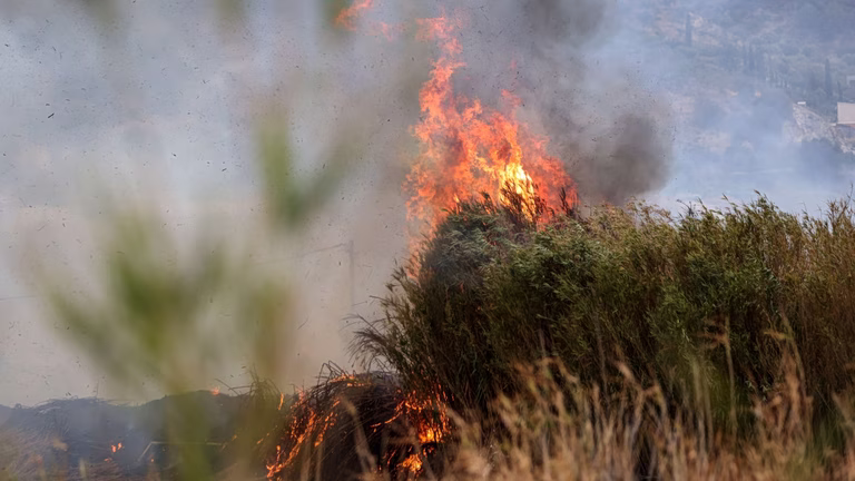 Πολύ υψηλός κίνδυνος πυρκαγιάς την Παρασκευή σε Αττική, Κρήτη και άλλες τρεις Περιφέρειες