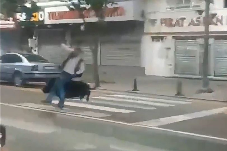 Τουρκία: Αγριογούρουνο έτρεχε σε πολυσύχναστο δρόμο – Τραυμάτισε τρία άτομα