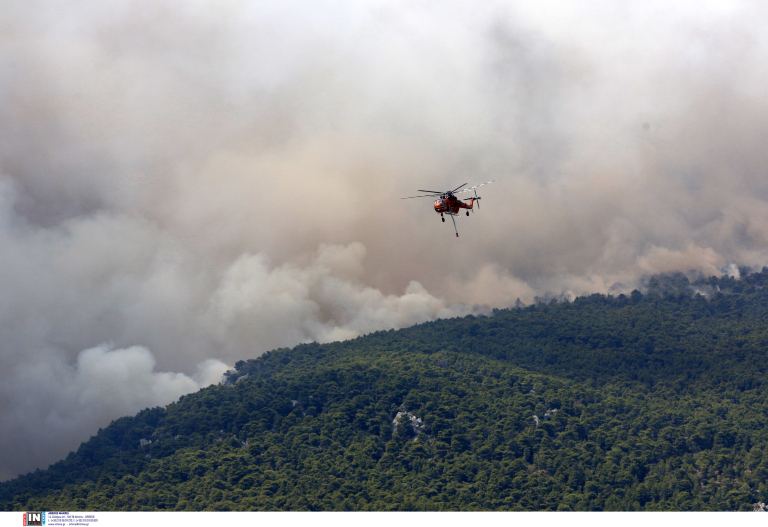 Λάρισα: Φωτιά στην περιοχή των Φαρσάλων – Μεγάλη επιχείρηση της Πυροσβεστικής