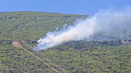 Φωτιά σε δασική έκταση στη Βοιωτία – Ήχησε το 112