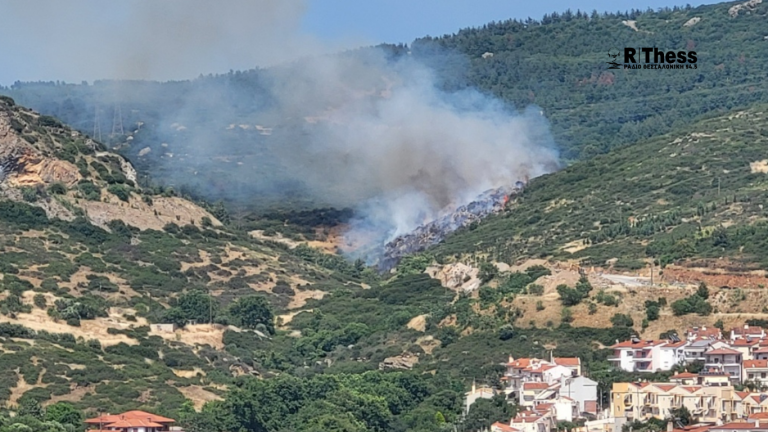 Θεσσαλονίκη: Φωτιά σε δασική έκταση στο Φίλυρο – Ήχησε το 112