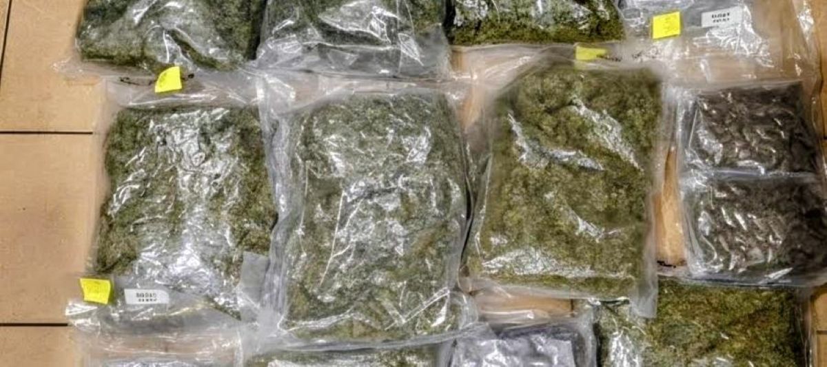 Κατάσχεση άνω των 13 κιλών κάνναβης στη Σκιάθο – Σύλληψη 68χρονου από το Λιμενικό