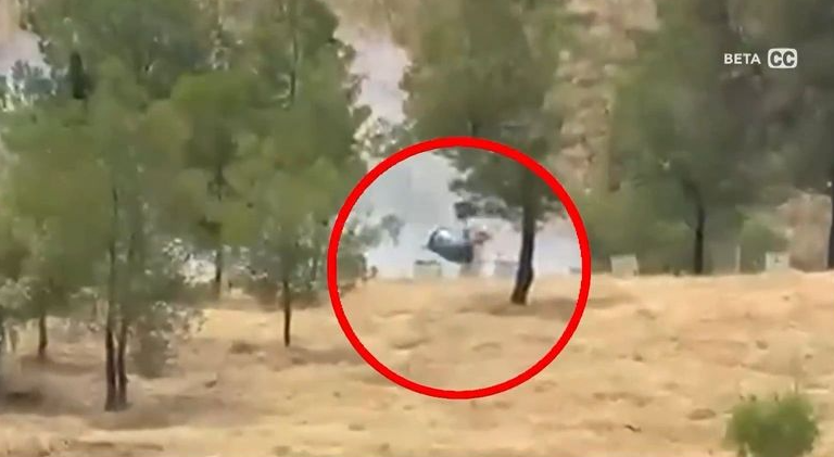 Άλσος Βεΐκου: Βίντεο ντοκουμέντο από τη φωτιά – Ο μελισσοκόμος προσπαθούσε να σβήσει τις φλόγες