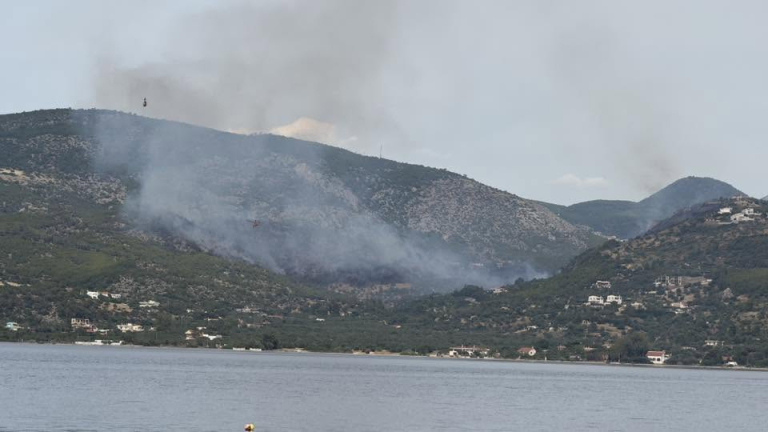 Λουτράκι: Συνελήφθη 71χρονος Γάλλος για τη φωτιά στην Περαχώρα – Χωρίς ενεργές εστίες το πύρινο μέτωπο