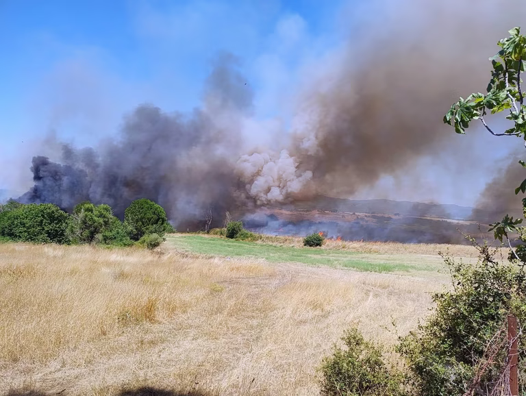 Φωτιά στη Βάρδα: Ενισχύθηκαν οι πυροσβεστικές δυνάμεις – Νέες εστίες προκαλούν οι ισχυροί άνεμοι