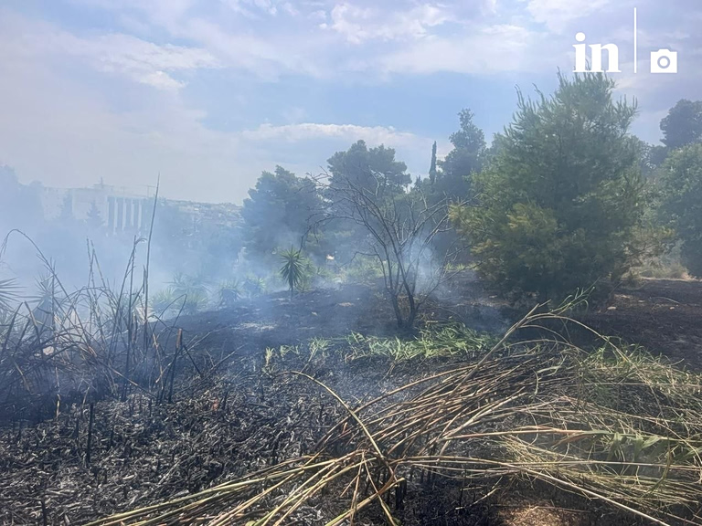 Συνελήφθη 45χρονος μελισσοκόμος για τη φωτιά στο Άλσος Βεΐκου
