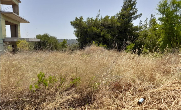 Παράταση της προθεσμίας για τα ακαθάριστα οικόπεδα – Η νέα ημερομηνία που ανακοινώθηκε