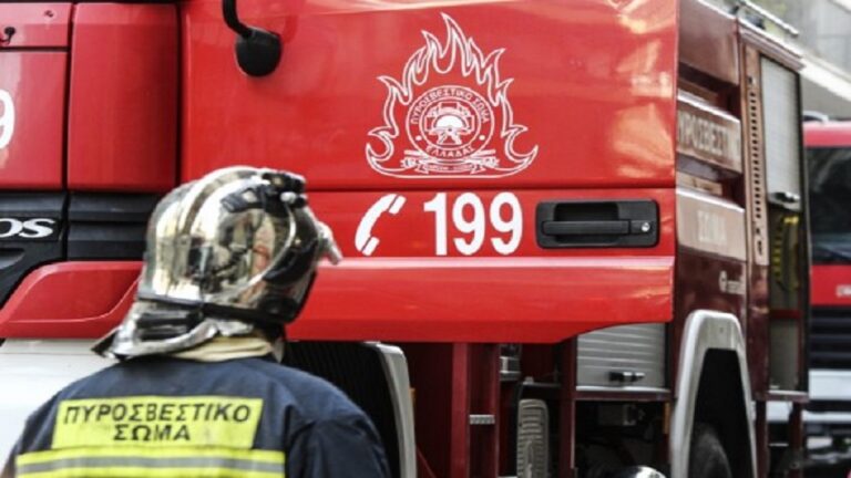 Φωτιά στον ΧΥΤΑ Αργαλαστής Νοτίου Πηλίου